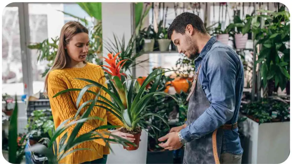 a person looking at plants in a florist shop