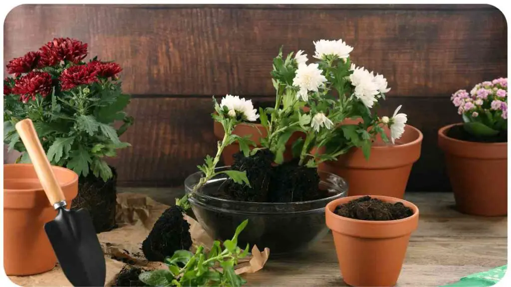 various types of flowers and plants in pots on a wooden table