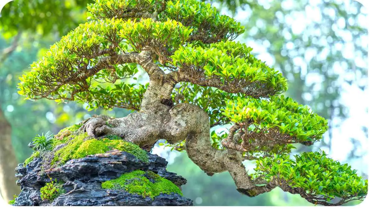 How Do Trees Know When to Start Branching Out as They Grow? Unified