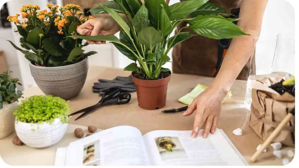a person is holding a plant in a pot on a table next to an open book