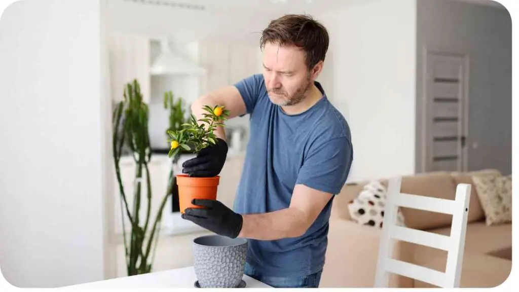 a person in a blue shirt and black gloves is holding a potted plant