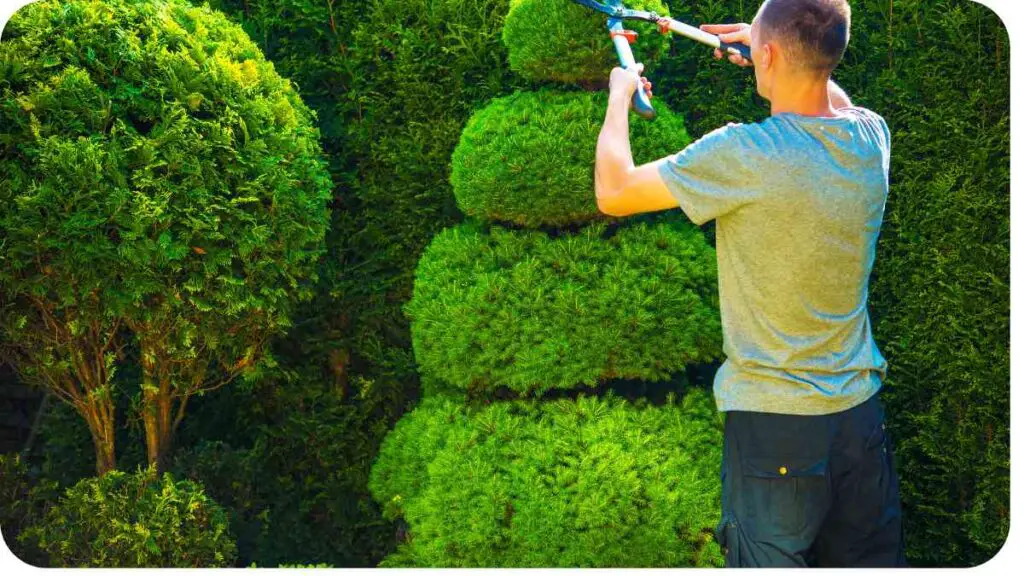 a person is trimming hedges with a hedge trimmer