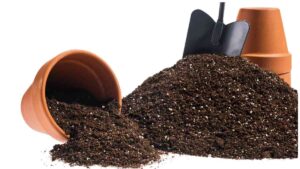How Do You Know If Potting Mix Is Bad?
