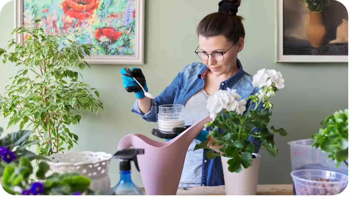 How Much Does It Cost To Fertilize Houseplants?