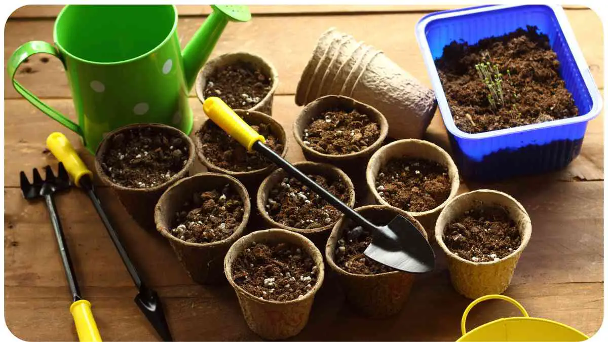 How Much Potting Soil For Peppers?