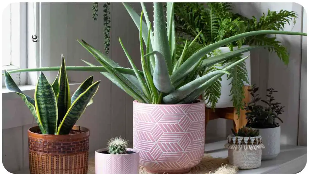 How To Keep Cockroaches Out Of House Plants? Unified Garden