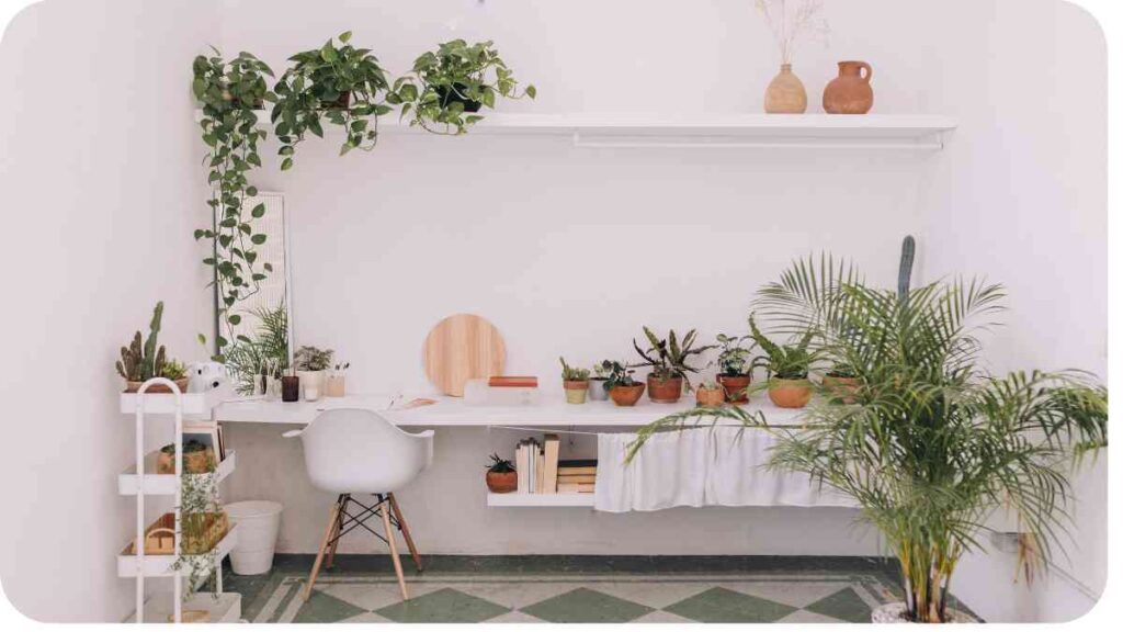 How to Create Your Own Indoor Plant Room: A Complete Guide – Unified Garden