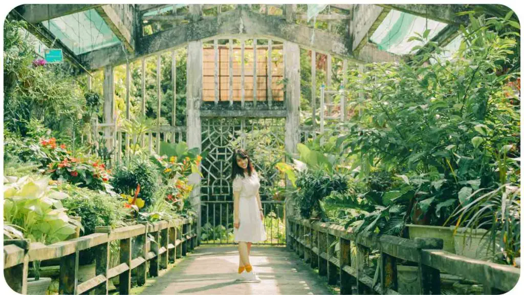 a person walking down a path in a greenhouse
