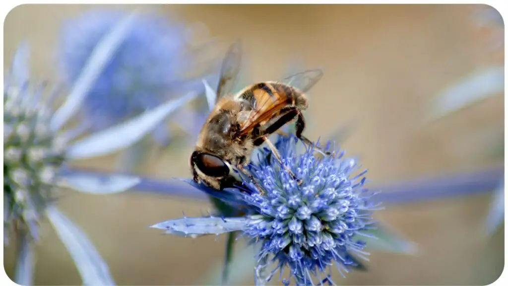 a bee is sitting on top of a blue flower