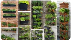 Maximize Space with Tower and Wall Gardens