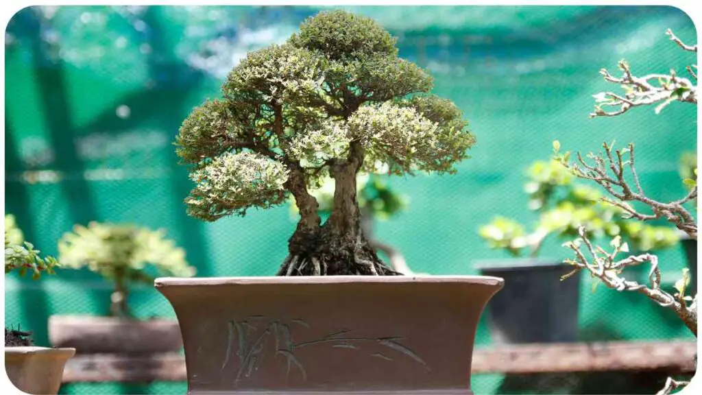 a bonsai tree in a brown pot sitting on top of a table
