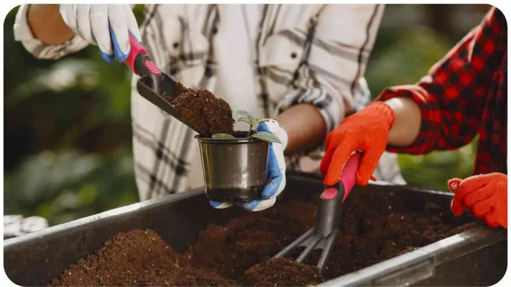 two people are planting soil in a container