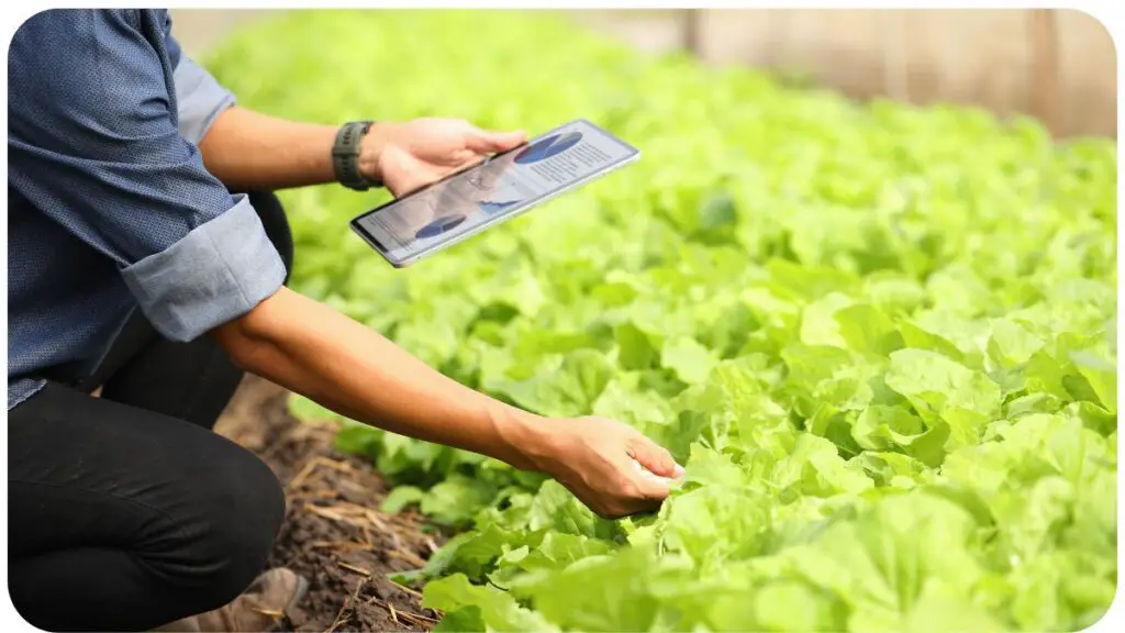 agriculture and technology in the 21st century