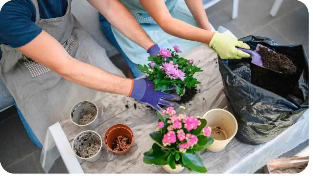a person is planting flowers in pots on a table