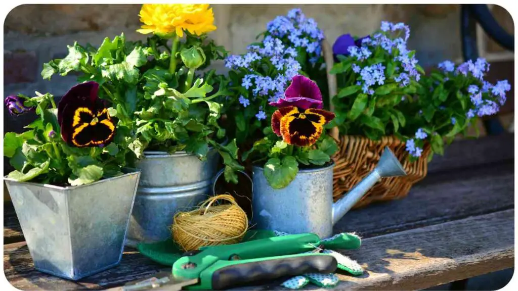 gardening tools and flowers on a wooden bench