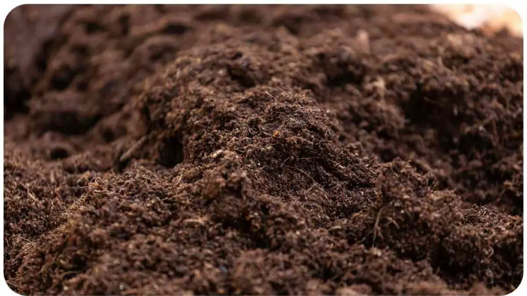 a close up view of a pile of soil