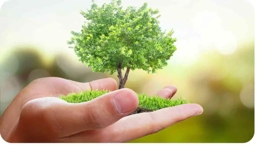 a person holding a small green tree in their hand