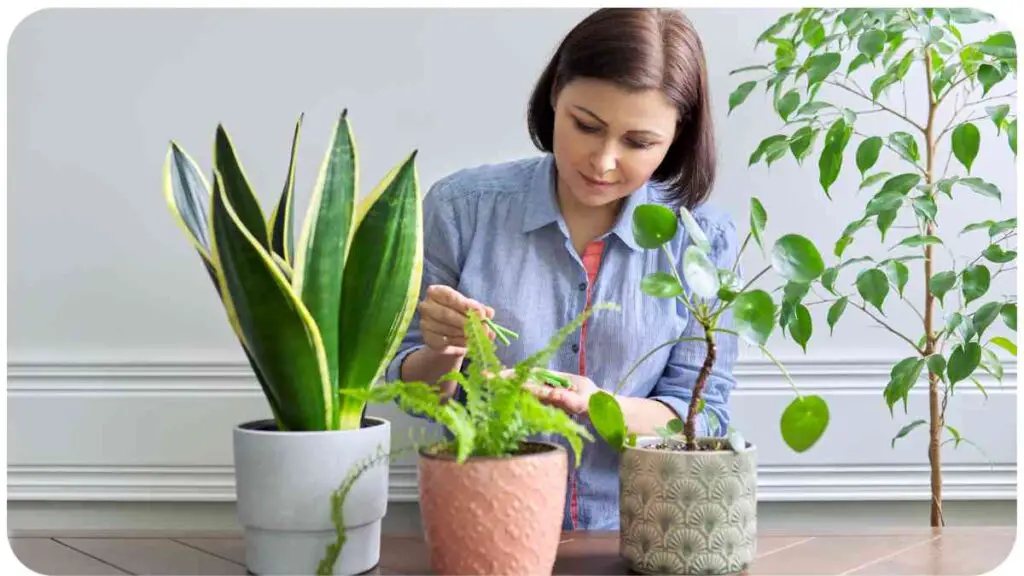 a person is working on a plant in a potted plant