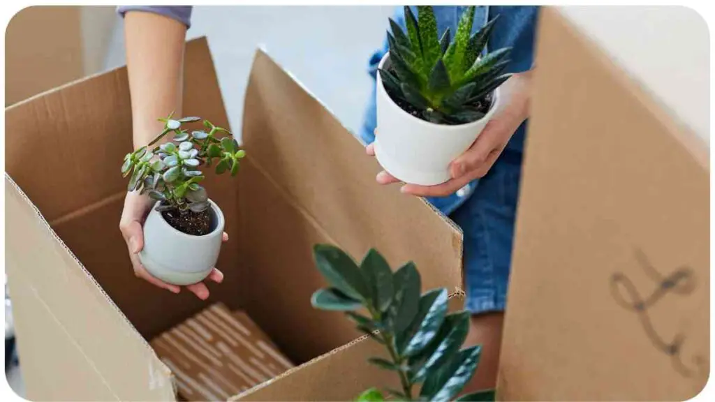 a person is holding a potted plant in a cardboard box