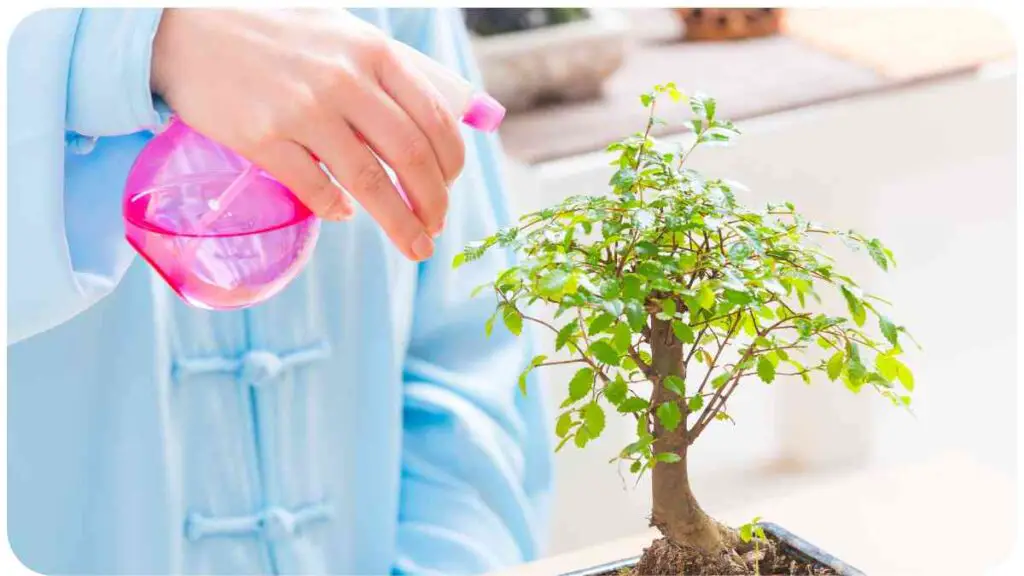 a person is watering a bonsai tree with a spray bottle