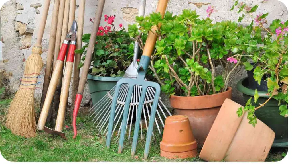 various garden tools and gardening equipment in pots and potted plants