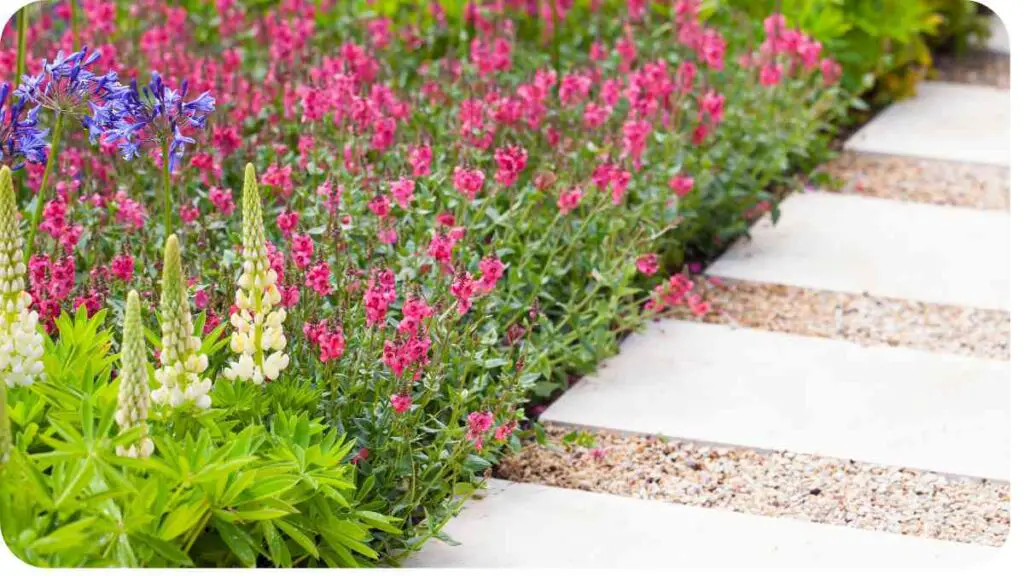 a walkway is lined with flowers in a garden