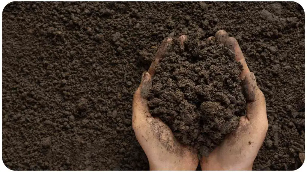 two hands holding soil in front of a pile of dirt