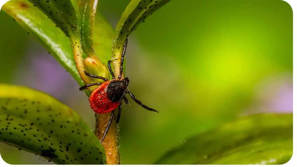 a tick is sitting on a plant with green leaves