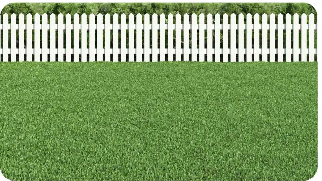 a white picket fence in the middle of a grassy field