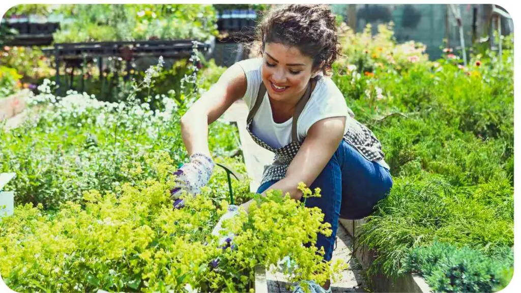 a person is tending to plants in a garden