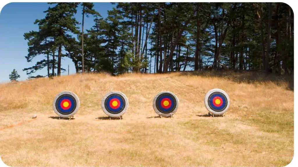 three archery targets in the middle of a field