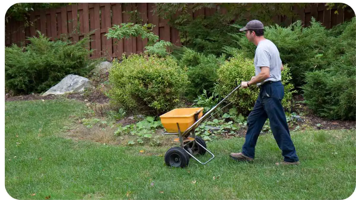 How To Fix Burnt Grass From Too Much Fertilizer?