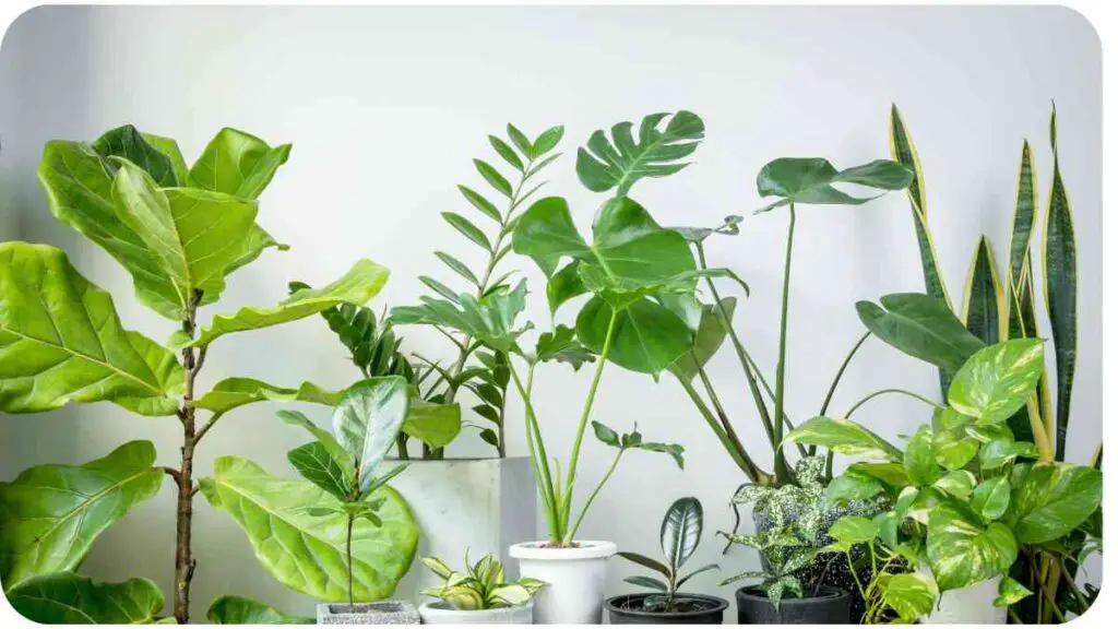 many different types of plants in pots on a table