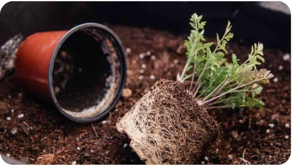 a small plant in a pot with dirt and soil