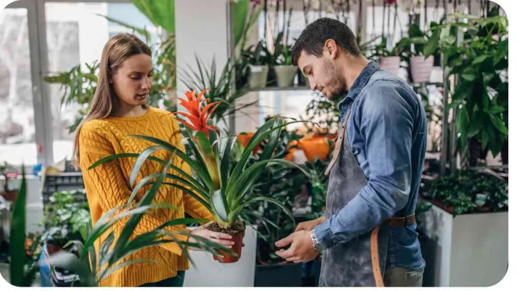 Two people looking at plants in a florist shop