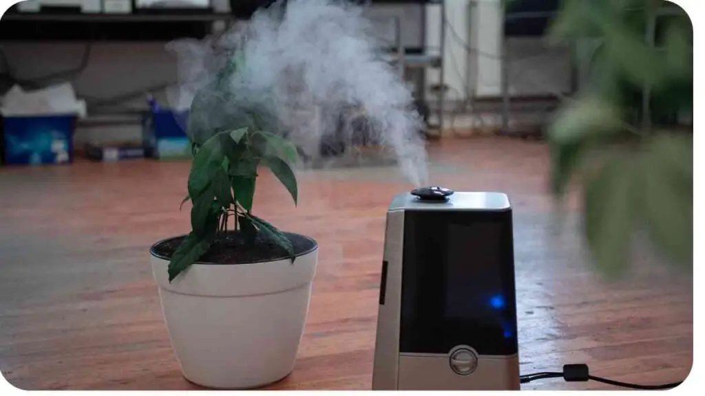 a potted plant in front of an air humidifier