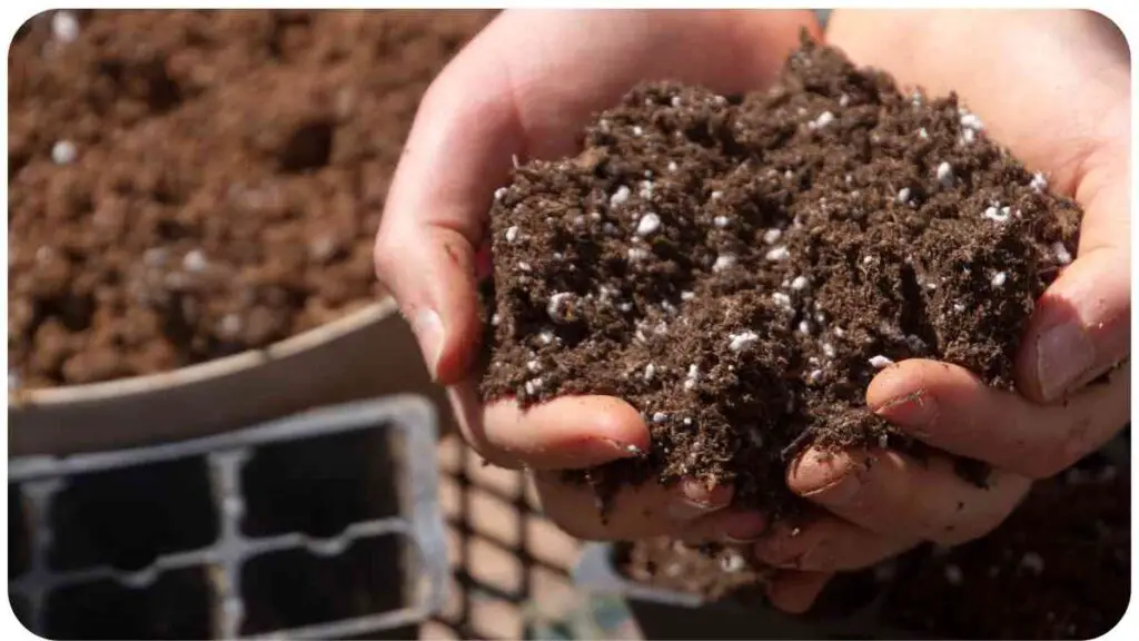 a person is holding a bowl full of soil