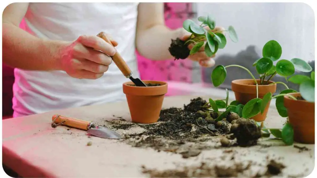 a person is using a pair of scissors to plant a plant in a pot