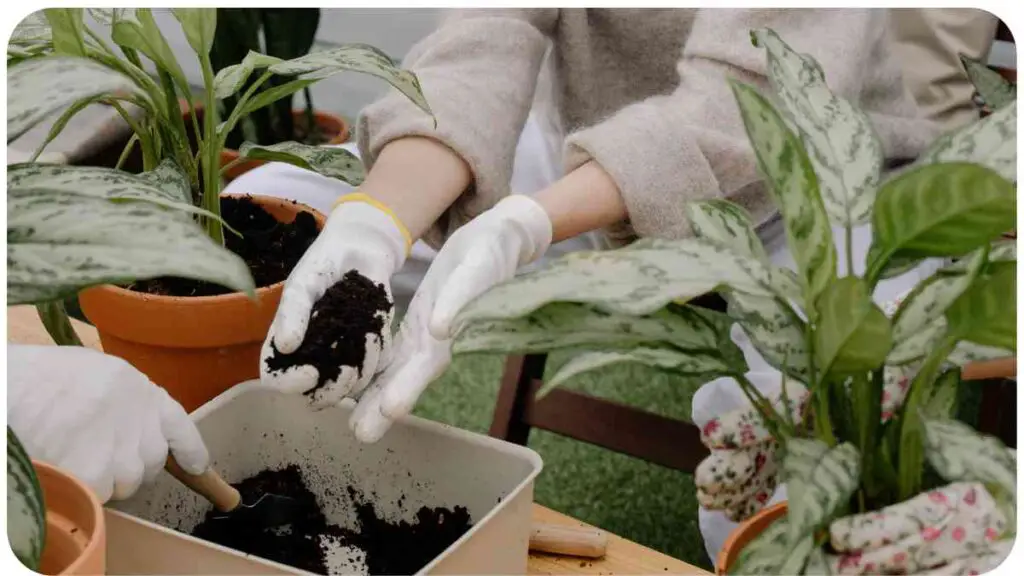 two people in white gloves are planting potted plants