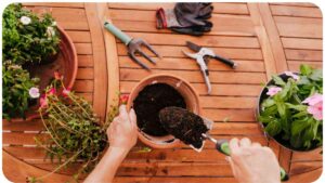 a person is using gardening tools on a wooden table