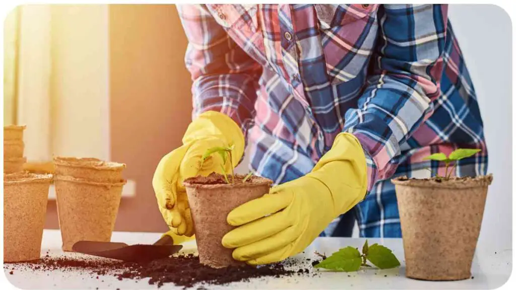 a person wearing gardening gloves is holding a plant in a pot