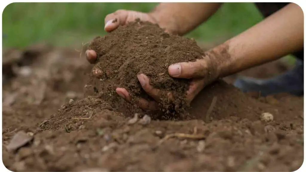 a person is holding soil in their hands