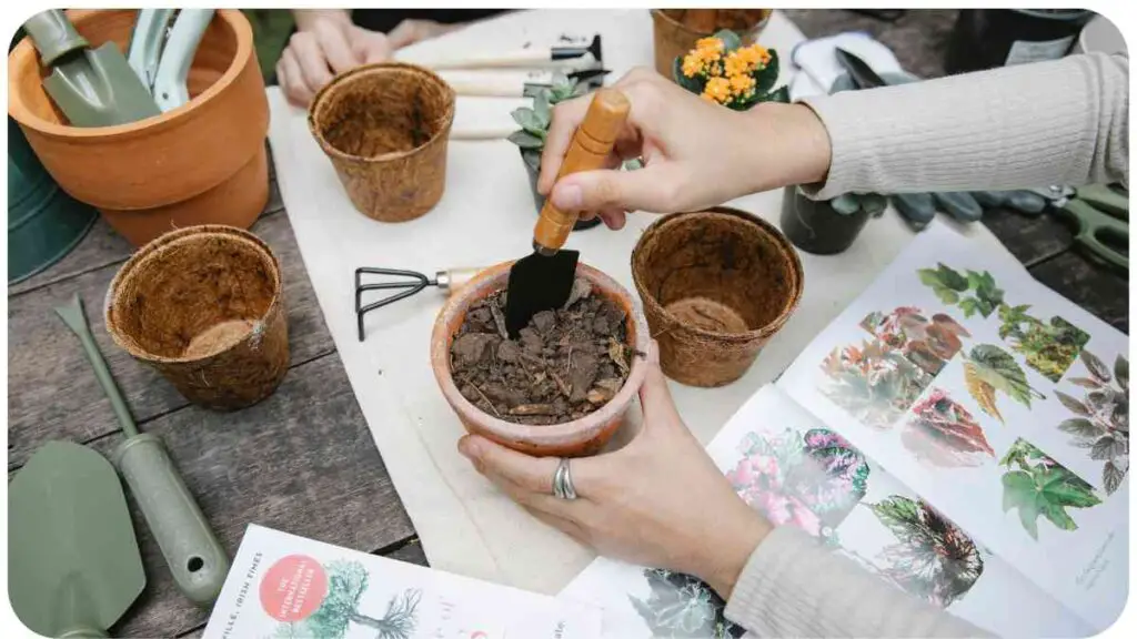 a person is using a gardening tool to plant a plant in a pot